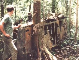 Wartime wreck in Borneo